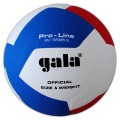 Volejbalový míč Gala PROLINE 12 - BV5585S