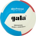 Volejbalový míč Gala School 12 - BV5715S