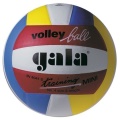 Volejbalový míč Gala Mini Training Color - BV4041S