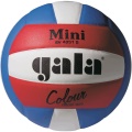 Volejbalový míč Gala Mini Proline Color - BV4051S