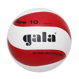 Volejbalový míč Gala Bora 10 - BV5671S