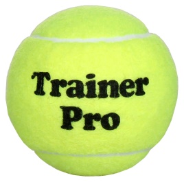 Tenisový míček Training