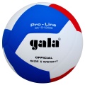 Volejbalový míč Gala PROLINE 12 - BV5125S