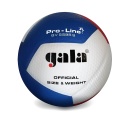Volejbalový míč Gala PROLINE 12 OFFICIAL - BV5595S