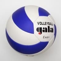 Volejbalový míč Gala Easy - BV5083S