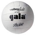 Volejbalový míč Gala Student - BP5033S